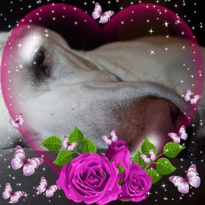 Meet your Posher, Briana